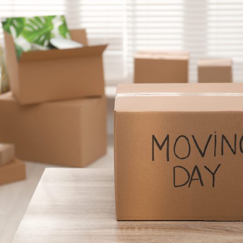 Cardboard box with words MOVING DAY on wooden table